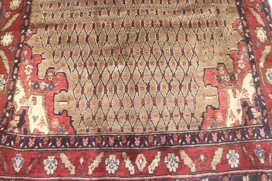 Koliaei Carpet 289x148