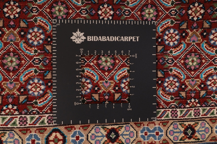 Moud  Carpet 196x149