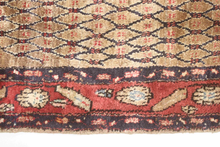 Koliaei Carpet 289x148