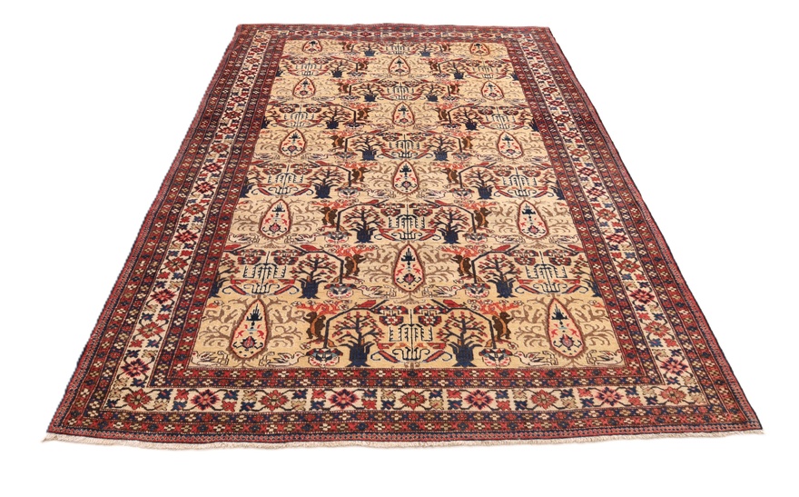 Azrbeijan Carpet 254x169