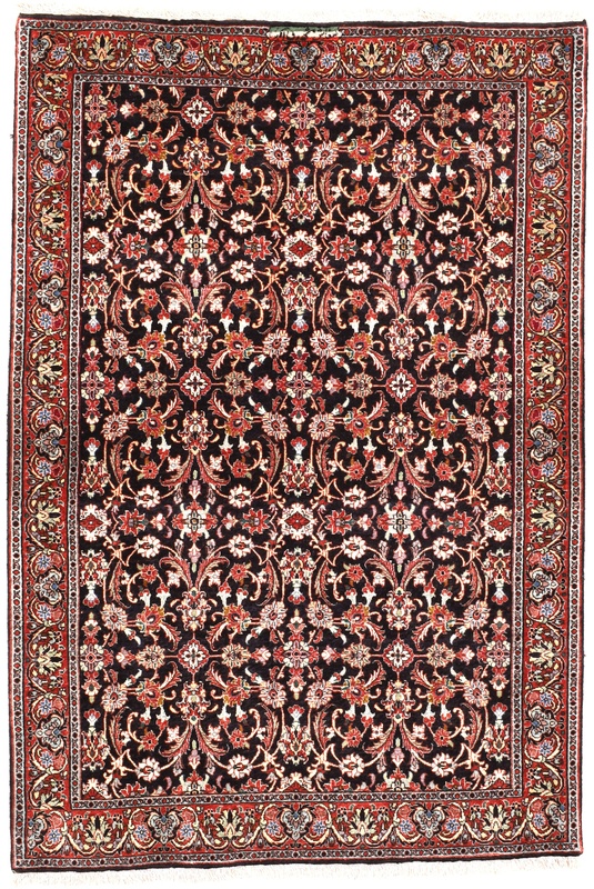 Bidjar Carpet 167x113