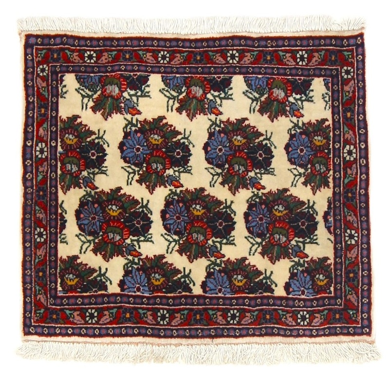 Bidjar Carpet  50x57