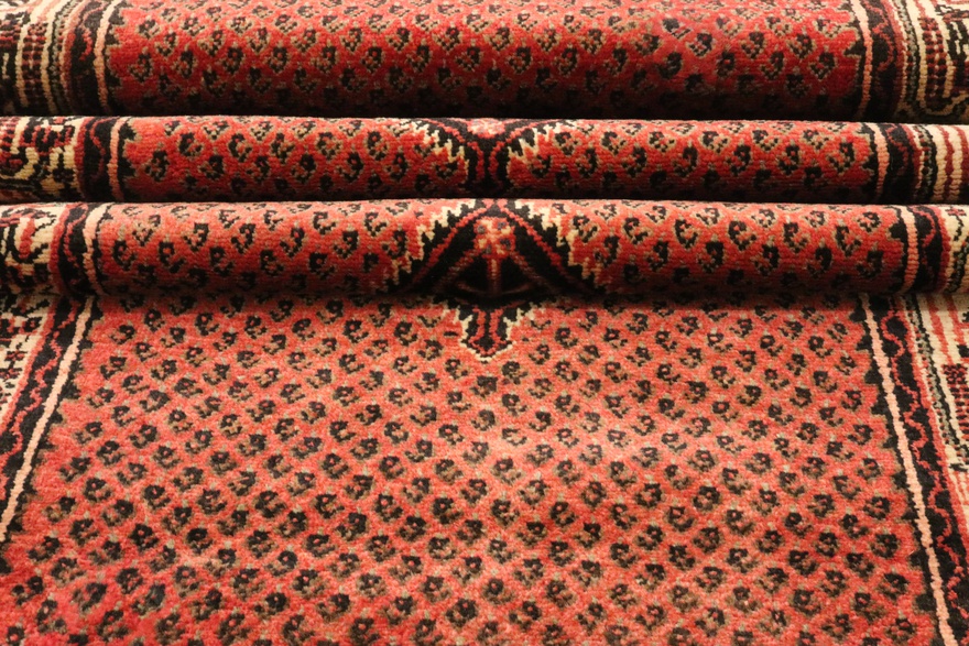 Hamadan Carpet 395x82