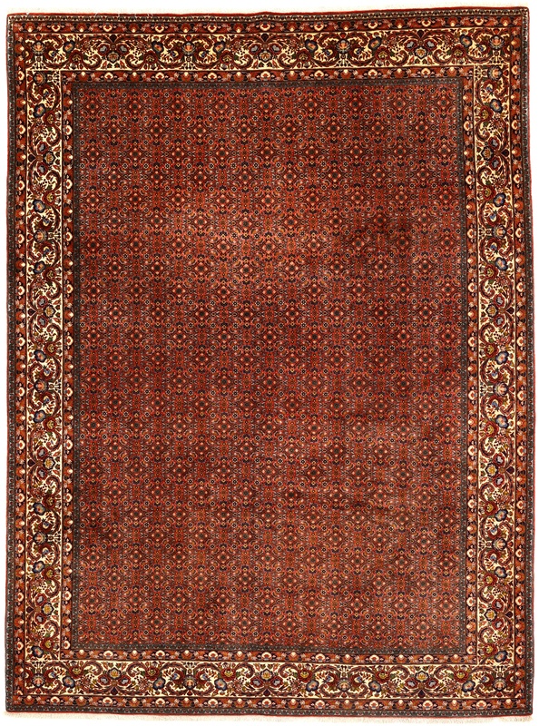 BIDJAR Carpet 343x257