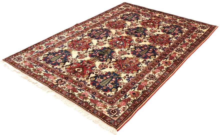 BAKHTIAR Carpet 235x160