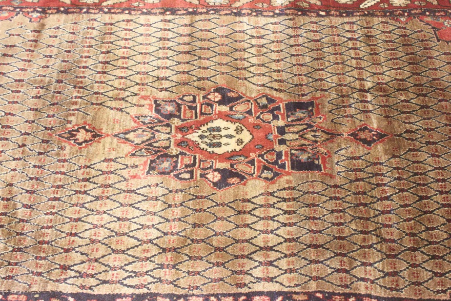Koliaei Carpet 289x148