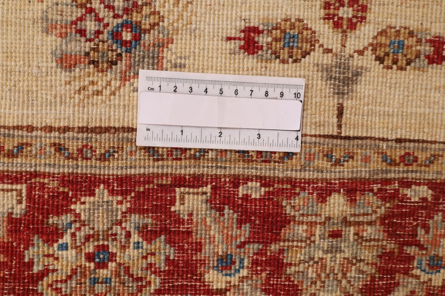 Zieglerfarhan carpet 246x82