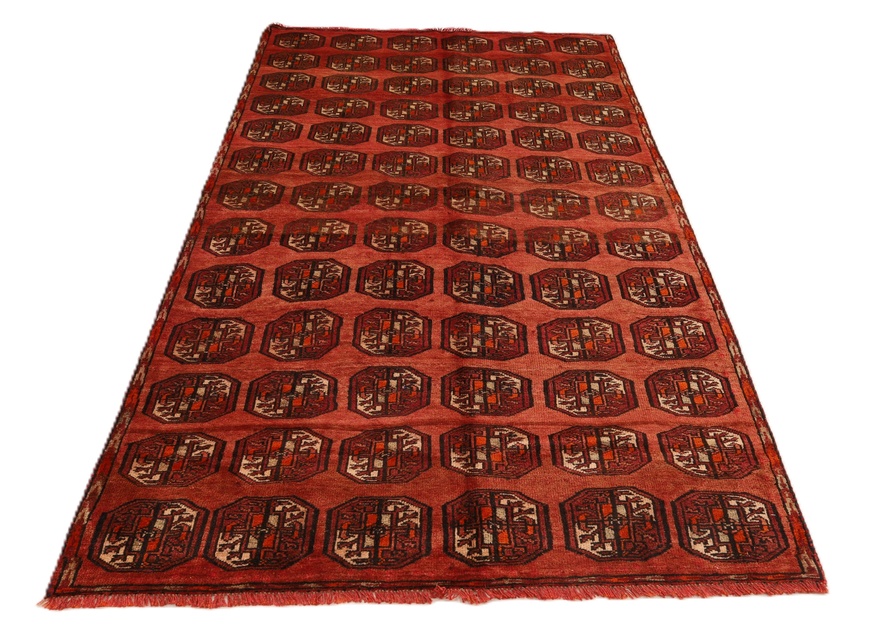 Kurdi Carpets  254x139