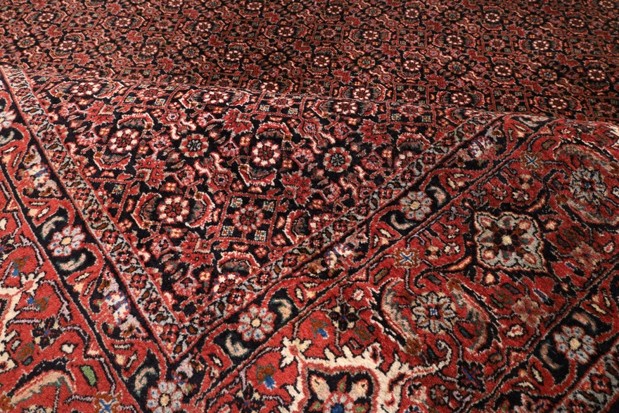 Bidjar Carpet 255x255