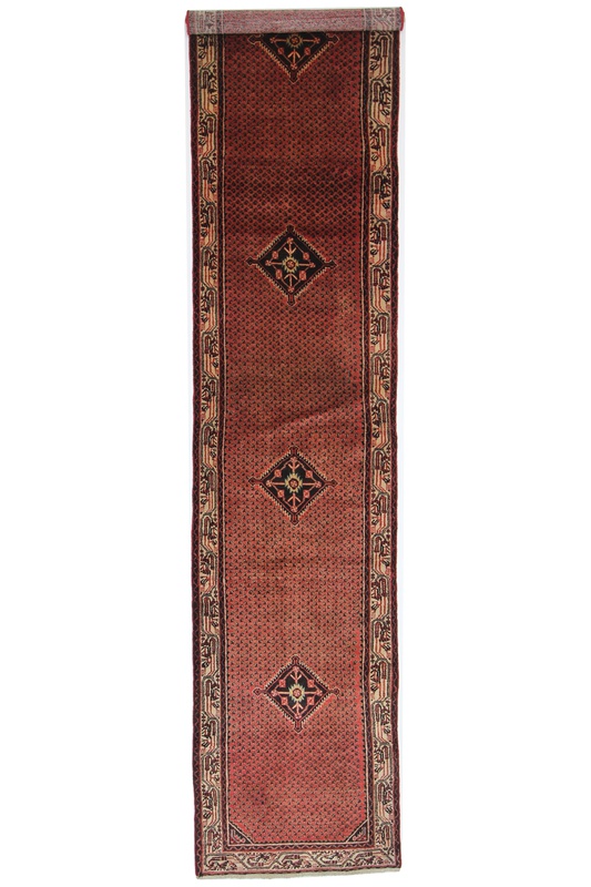 Hamadan Carpet 395x82
