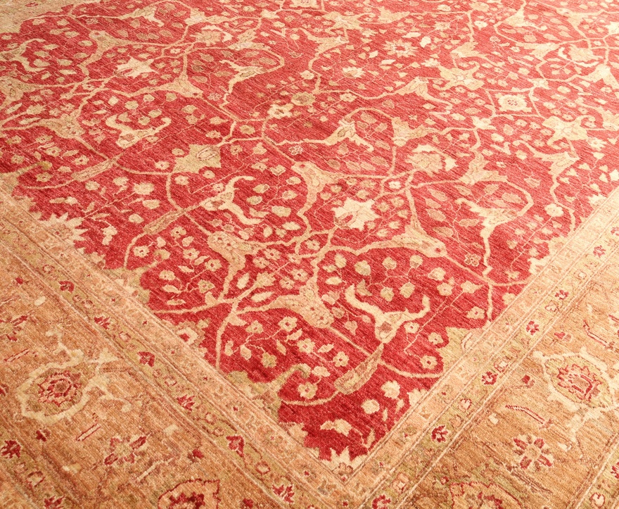 ZiglerCarpet 350x260