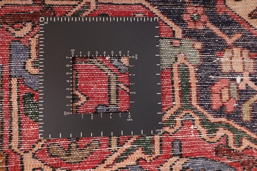 BAKHTIAR Carpet 245x167