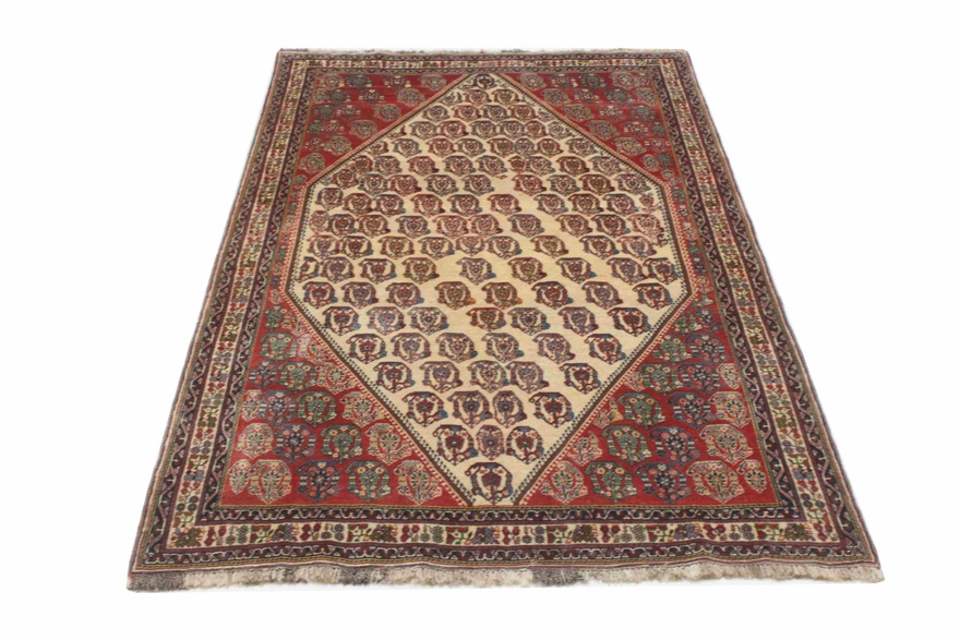 kashkoli  Carpet 247x149