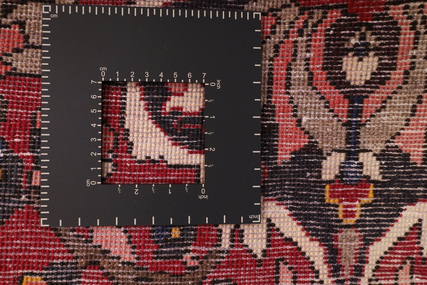 BAKHTIAR Carpet 227x144