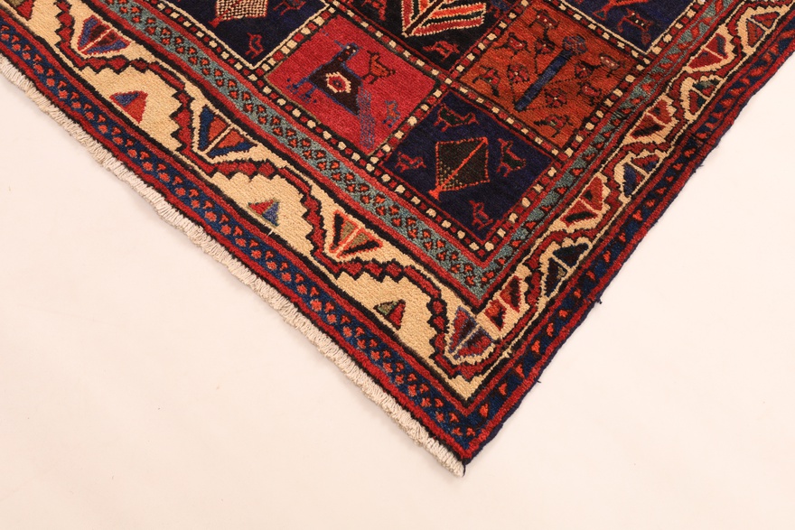 KOLIYAI Carpet 280x142