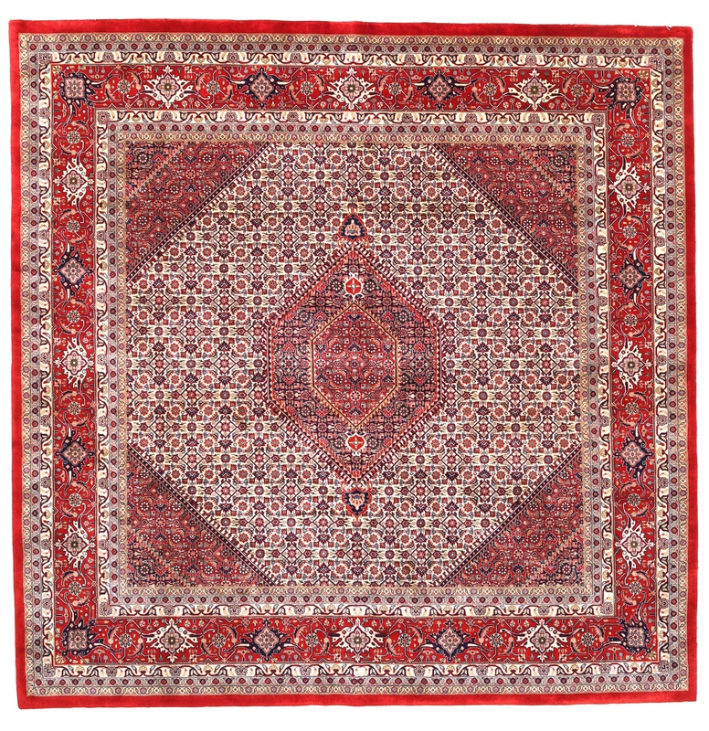 BIDJAR Carpet 250x251