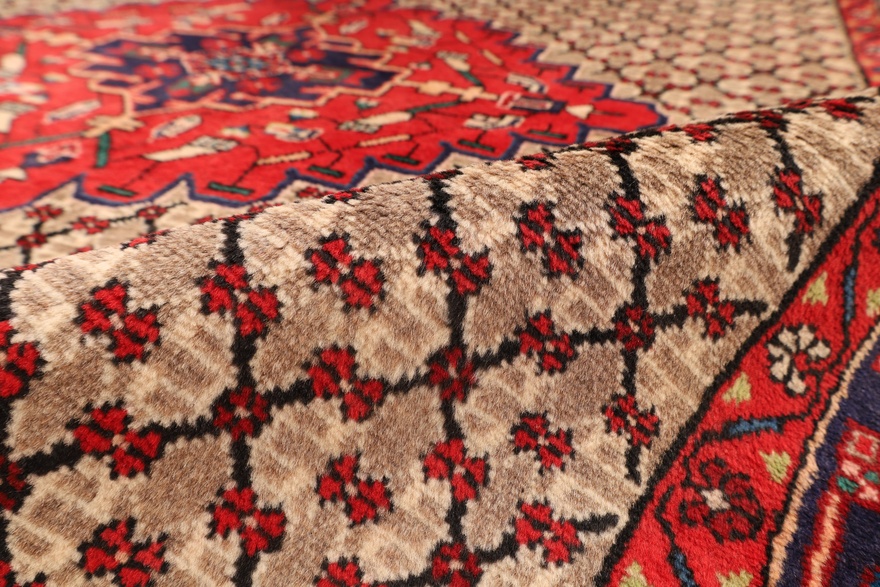 KOLEYAEI Carpet 350x160