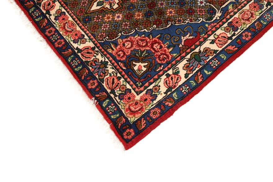 BAKHTIAR Carpet  163x101