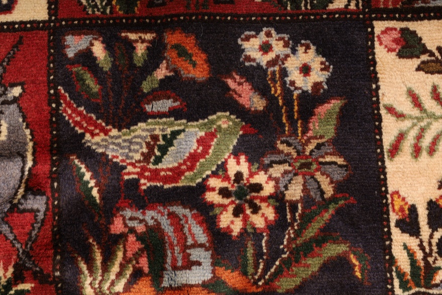 BAKHTIAR Carpet 206x140