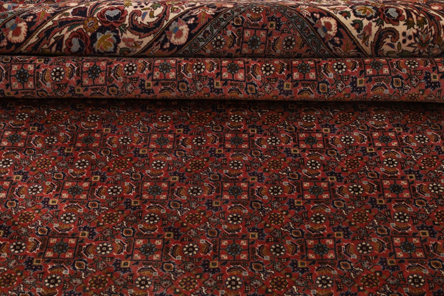 BIDJAR Carpet 343x257