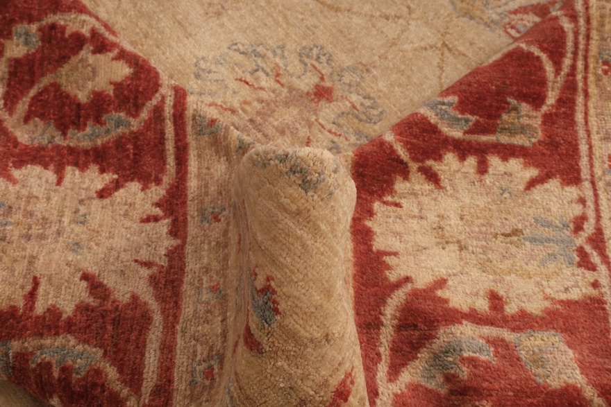 Ziegler Carpet  298x194