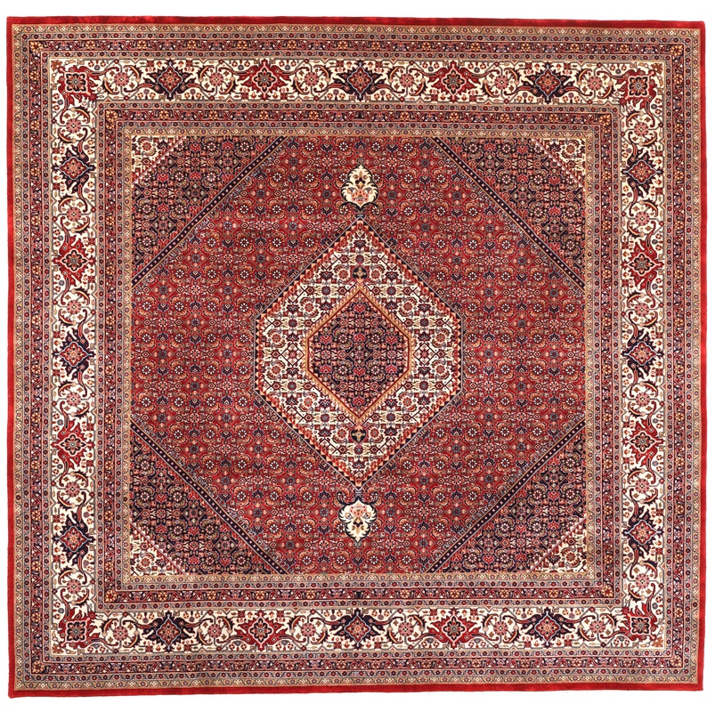 BIDJAR Carpet 248x250
