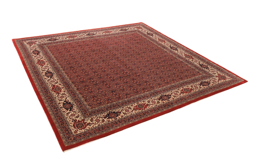 BIDJAR Carpet 252x254