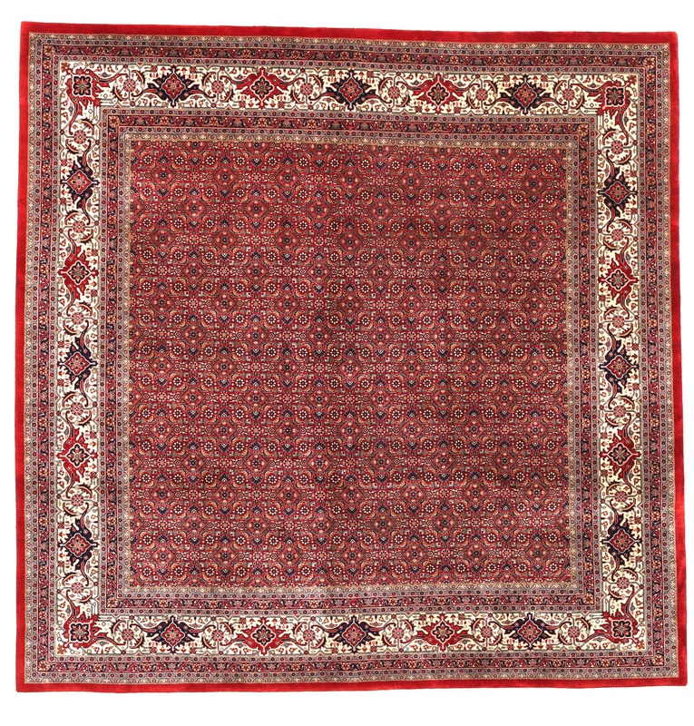 BIDJAR Carpet 252x254