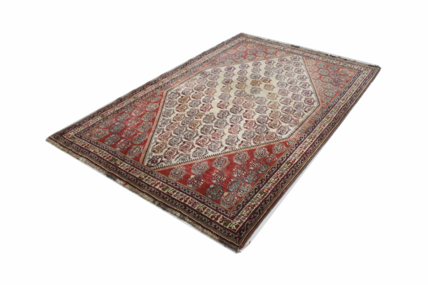 kashkoli  Carpet 247x149