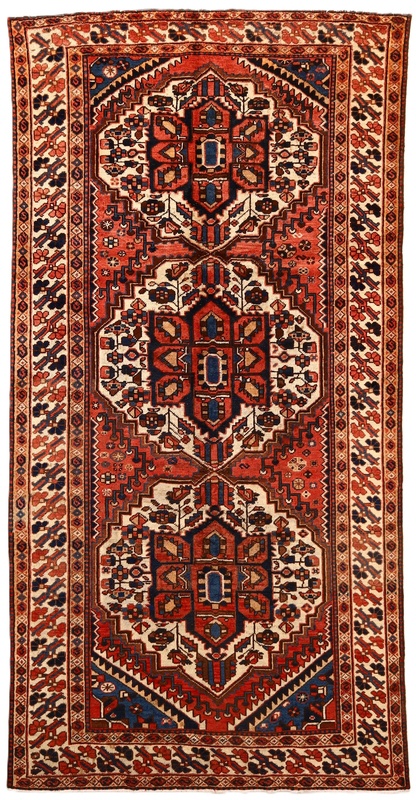 Hamadan Carpet  311x157