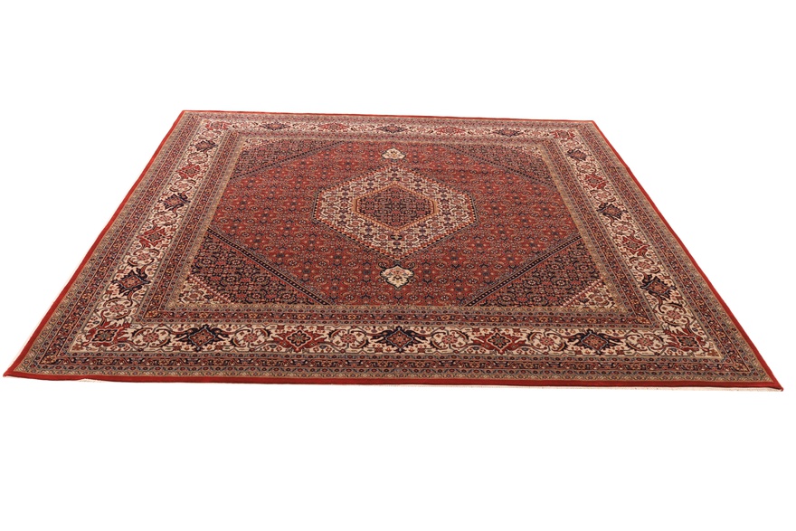 BIDJAR Carpet 248x250