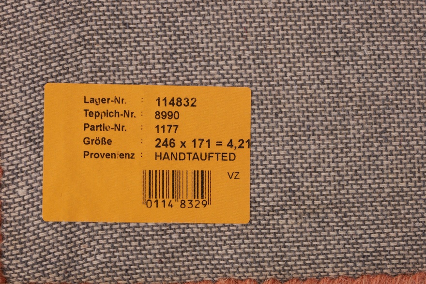 Little World Explorer – Children’s World Map Carpet 246 × 171