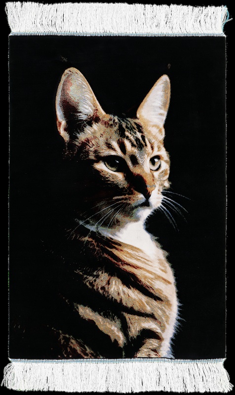 Qom Cat  Carpet  90x60