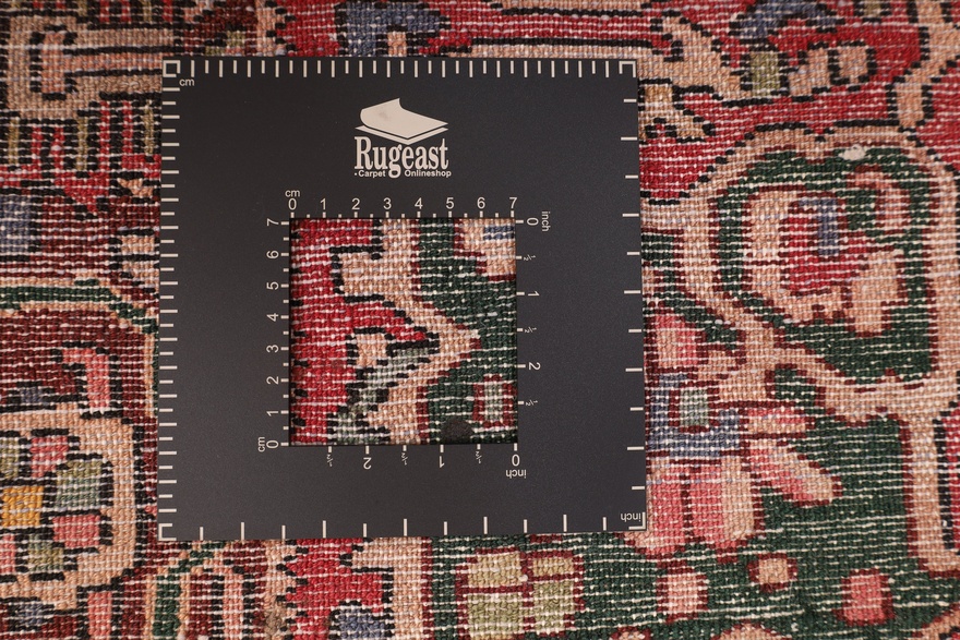 BAKHTIAR Carpet 245x167