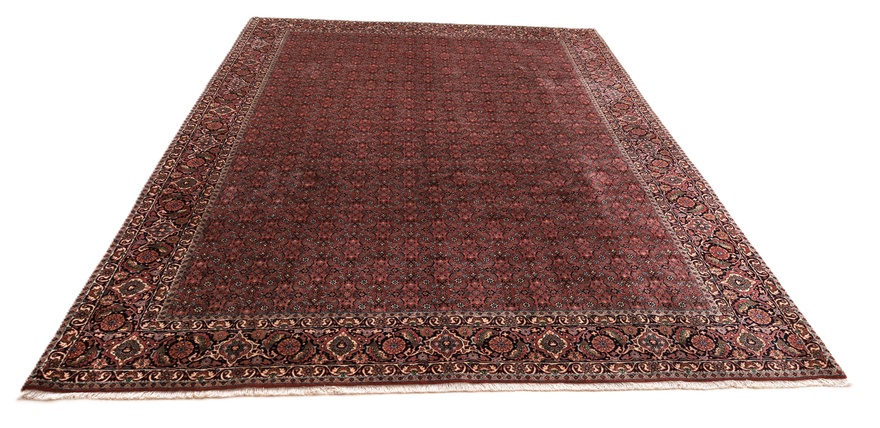 Bidjar Carpet 335x252