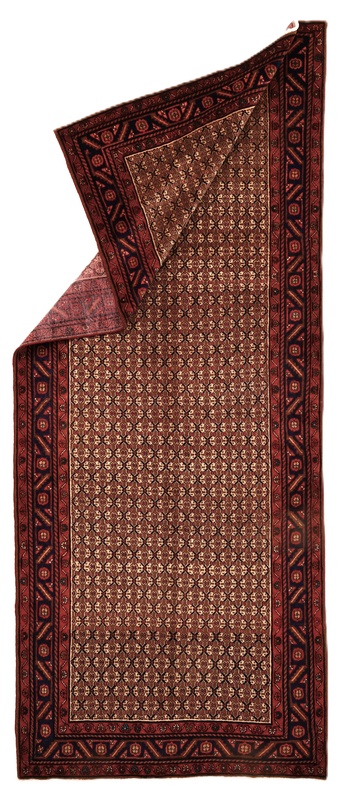 Koleyai Carpet 376x154