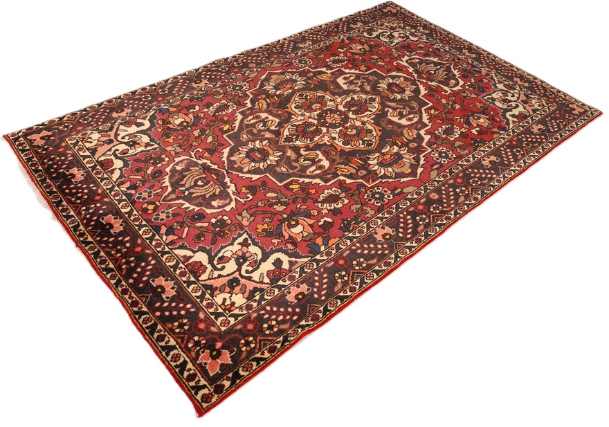 BAKHTIAR Carpet 227x144