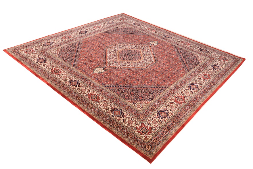 BIDJAR Carpet 248x250