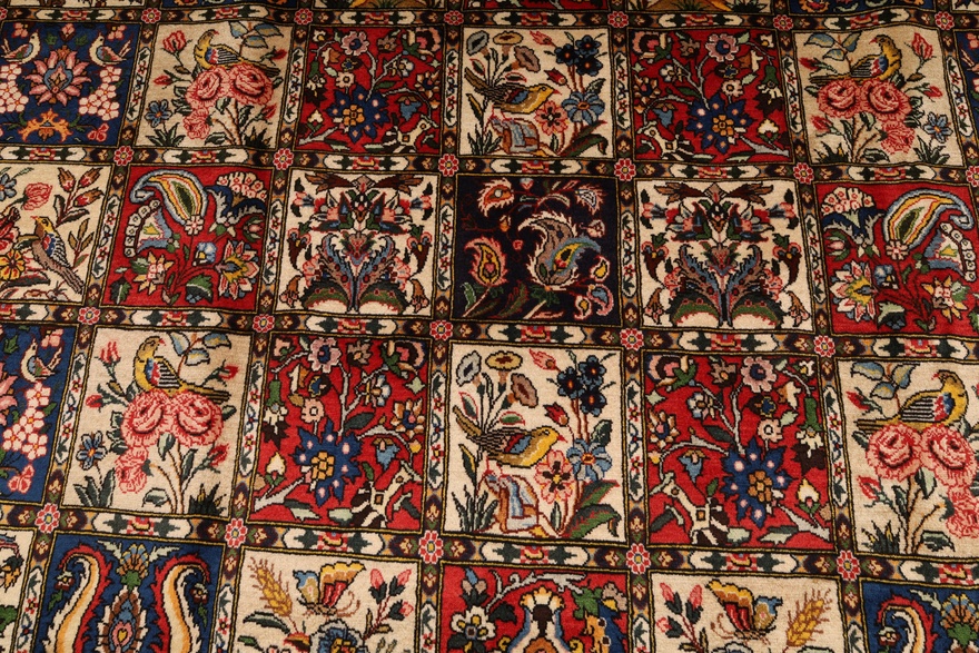 BAKHTIAR Carpet 370x253
