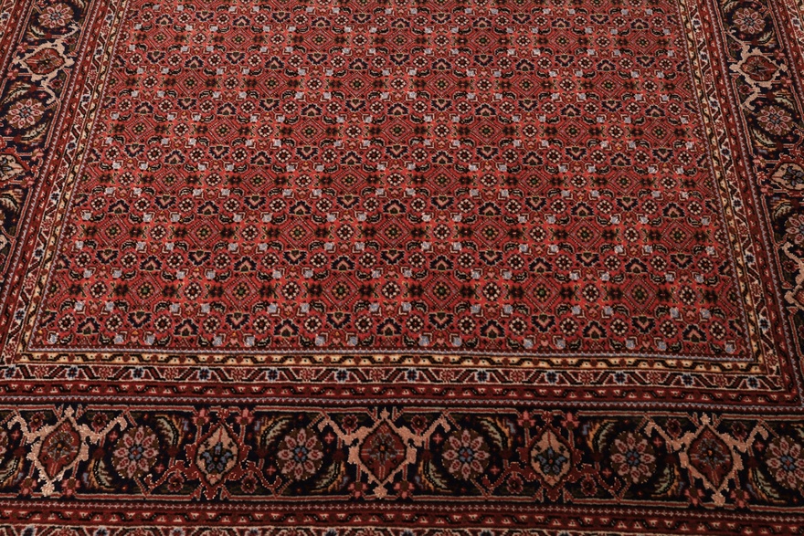 Tabriz 50 Raj Carpet  155x99