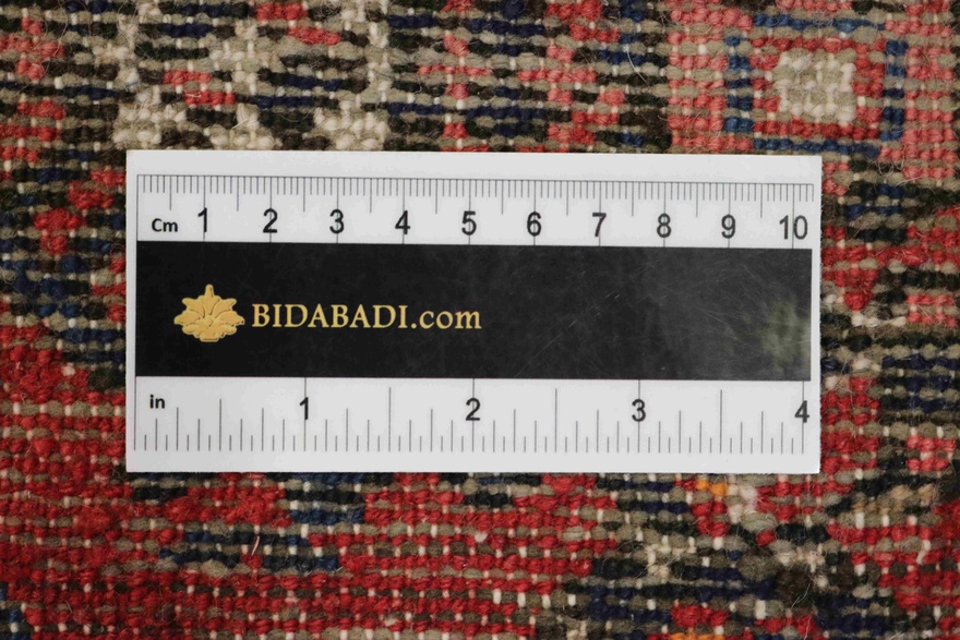 Hossenabad Carpet 505x84