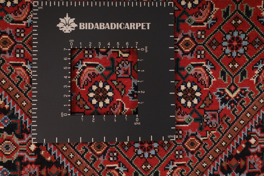 BIDJAR Carpet 181x109