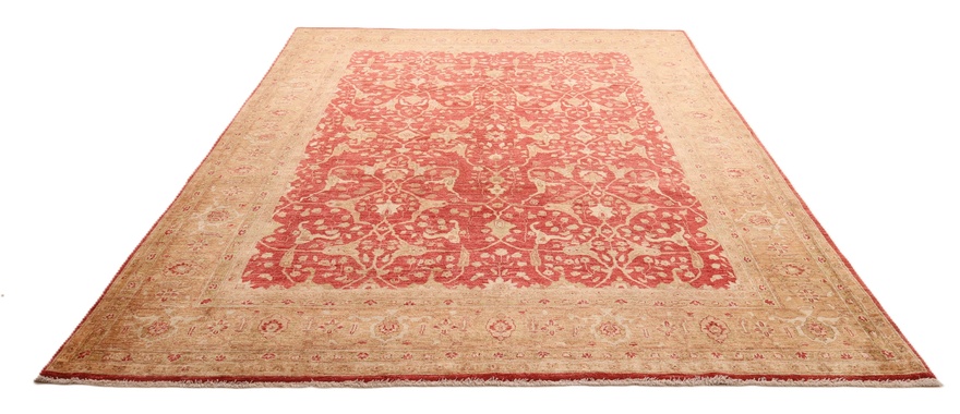 ZiglerCarpet 350x260