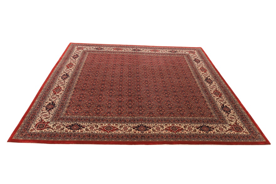 BIDJAR Carpet 252x254