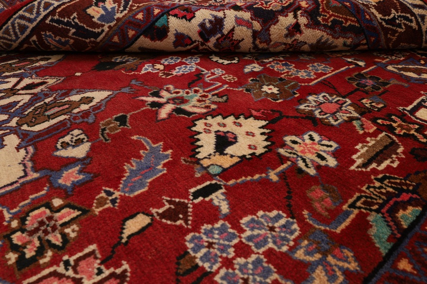 Sarouk Carpet  320x157