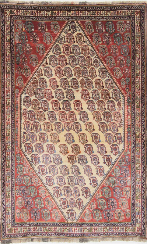 kashkoli  Carpet 247x149