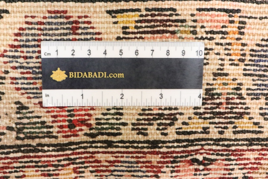 Rudbar Carpet 316x108