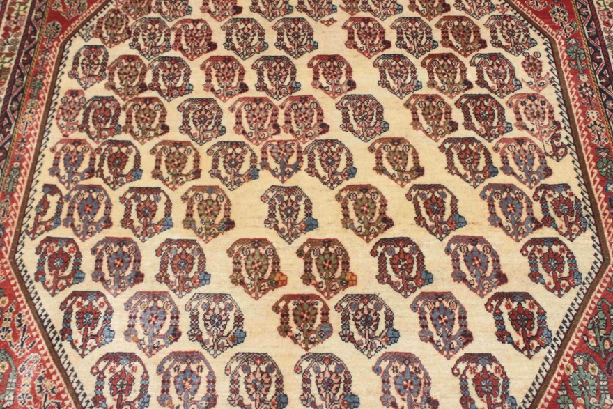kashkoli  Carpet 247x149