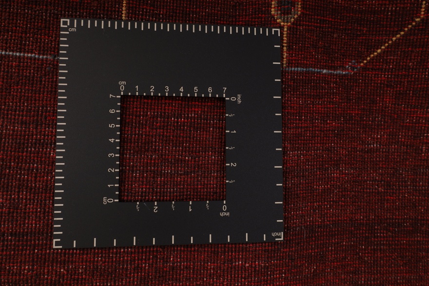 Modern LOTUS Carpet 234x173