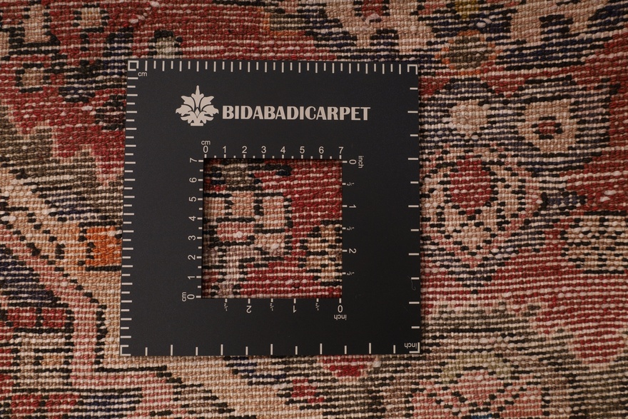 BAKHTIAR Carpet  218x145